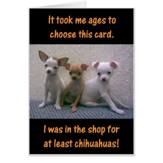 Chihuahuas Hälsningskort