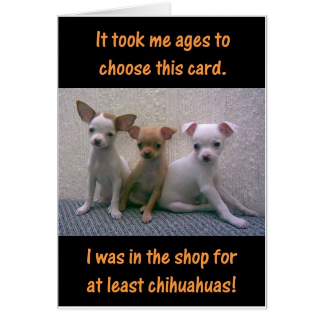 Chihuahuas Hälsningskort (Framsidan)