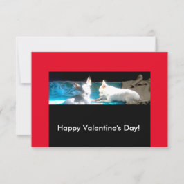 Chihuahuas i Kärlek Valentine Cards