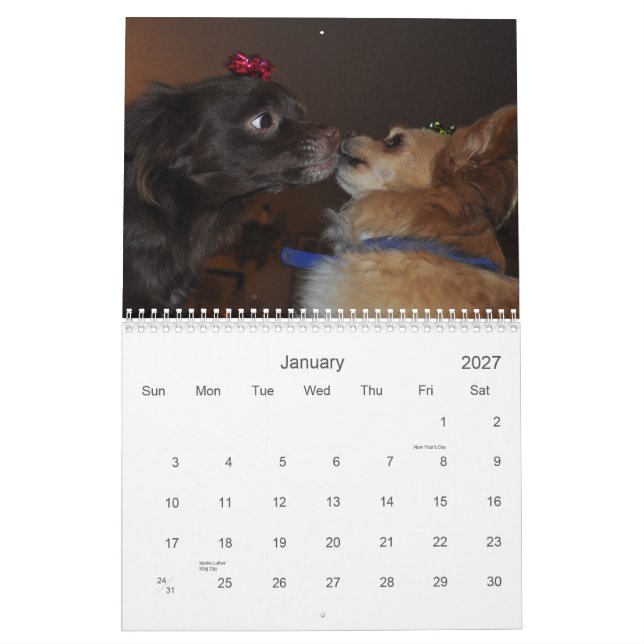 Chihuahuas Kalender (Jan 2027)