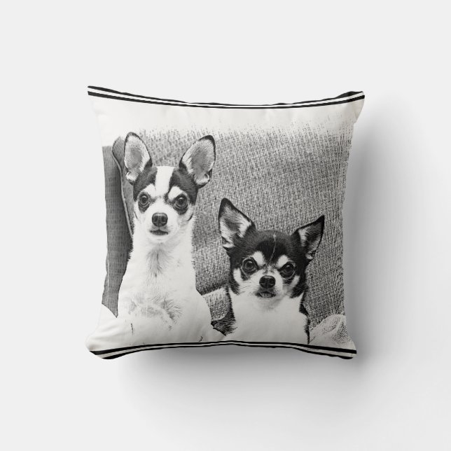 Chihuahuas Kudde (Framsida)