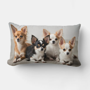 Chihuahuas Lumbarkudde
