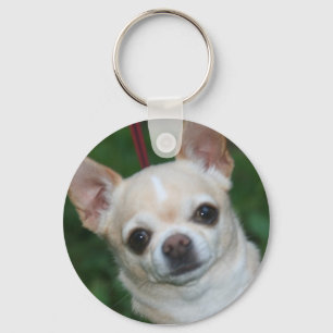 chihuahuas nyckelring