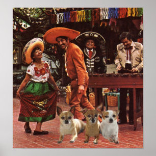 Chihuahuas Poster 3 amigos