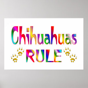 Chihuahuas-regel Poster