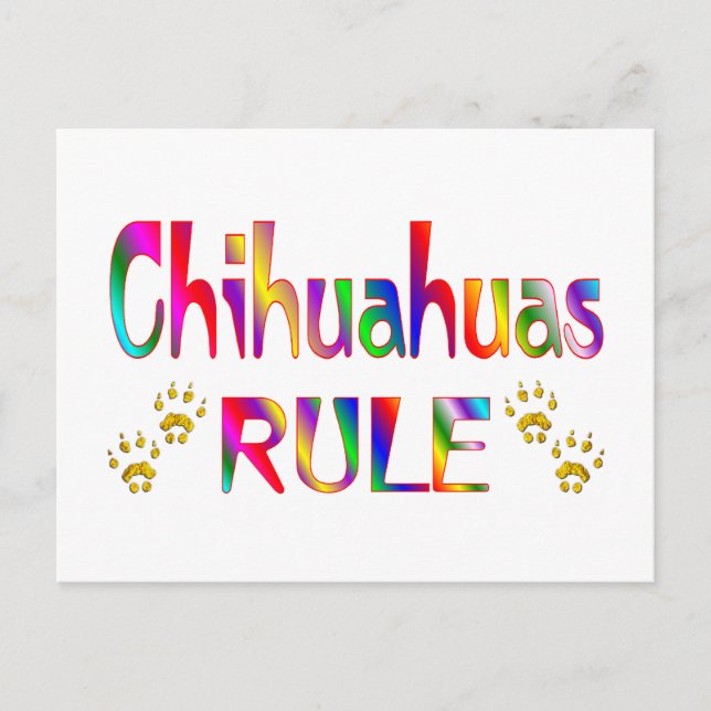 Chihuahuas-regel Vykort (Framsida)