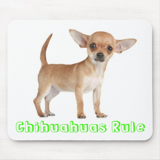 Chihuahuas Rule Puppy Hund Computer Mouse Pad Musmatta (Framsidan)