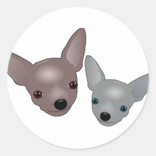 Chihuahuas Runt Klistermärke