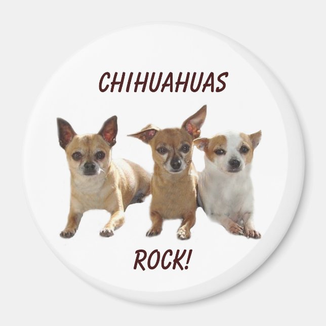 Chihuahuas Sten Magnet (Framsidan)