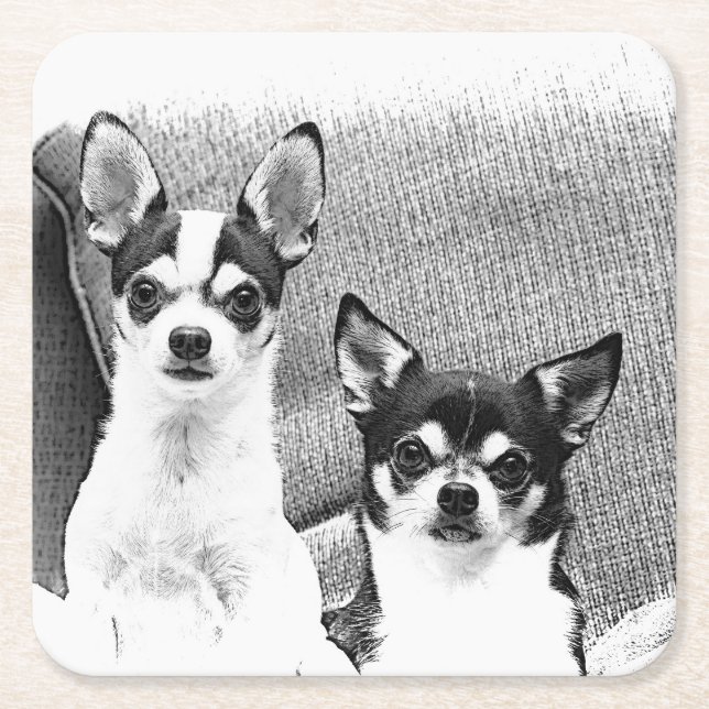 Chihuahuas Underlägg Papper Kvadrat (Framsidan)