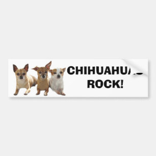 Chihuahuasstenbildekal Bildekal