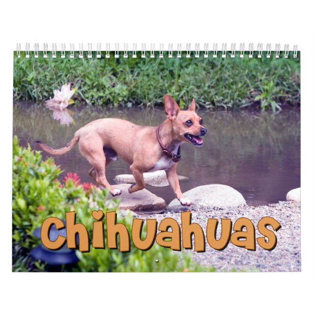 Chihuahuasväggkalender Kalender (Omslag)