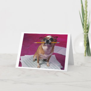 Chihuahuatackkort Tack Kort