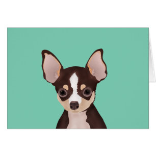 Chihuahuatecknad OBS Kort
