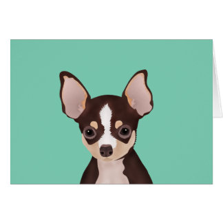 Chihuahuatecknad OBS Kort