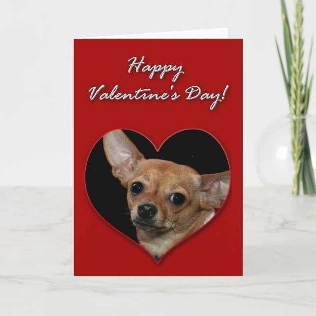 Chihuahuavalentines daykort helgkort (Framsida)