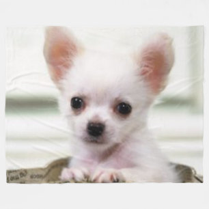 CHIHUAHUAVALP FLEECEFILT