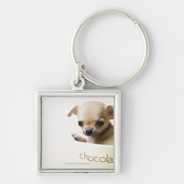 Chihuahuavalp i (den kantjusterade) bunken, fyrkantig silverfärgad nyckelring (Framsidan)