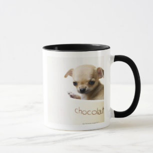 Chihuahuavalp i (den kantjusterade) bunken, mugg