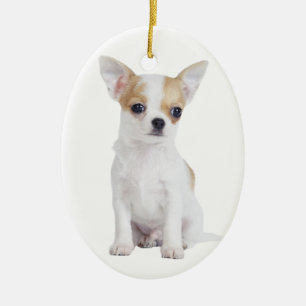 Chihuahuavalp Julgransprydnad Keramik