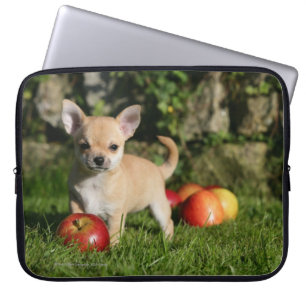 Chihuahuavalp med äpplen laptop fodral