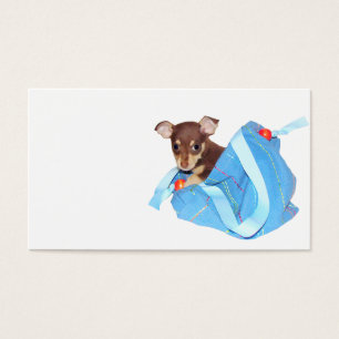 Chihuahuavalp Visitkort
