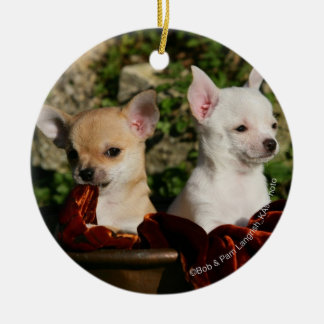 Chihuahuavalpar Julgransprydnad Keramik