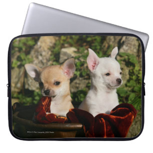 Chihuahuavalpar Laptop Fodral