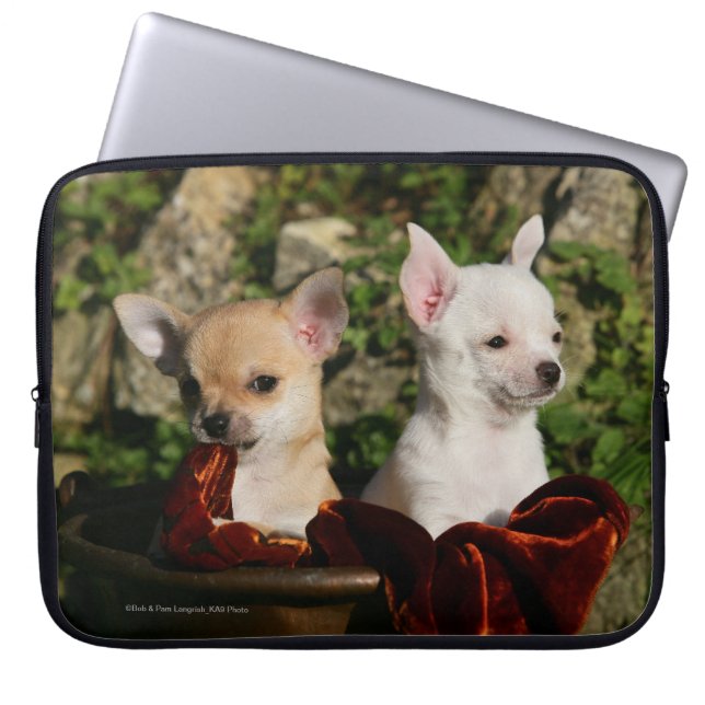 Chihuahuavalpar Laptop Fodral (Framsidan)