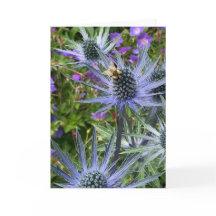 Chihuly Garden and Glass, Seattle, WA Series