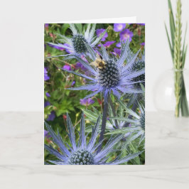 Chihuly Garden and Glass, Seattle, WA Series Kort