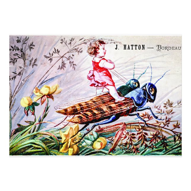 Child Riding Grashoppers Fototryck (Framsidan)