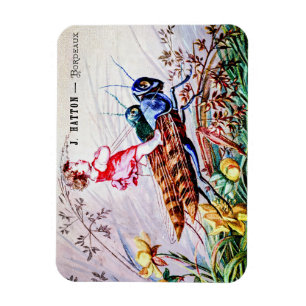 Child Riding Grashoppers Magnet