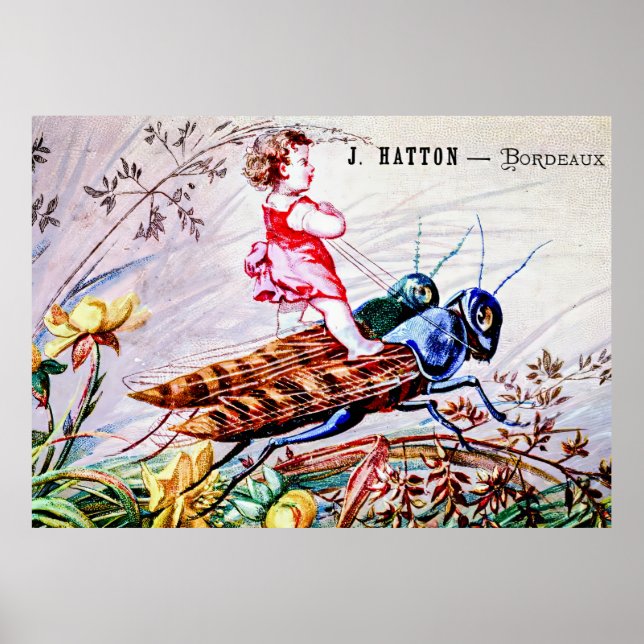 Child Riding Grashoppers Poster (Framsidan)
