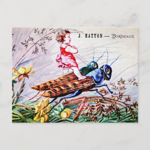 Child Riding Grashoppers Vykort