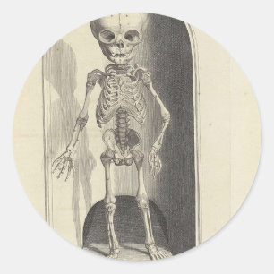 Child Skeleton Runt Klistermärke