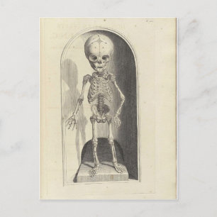 Child Skeleton Vykort