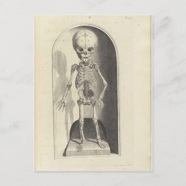 Child Skeleton Vykort (Framsida)