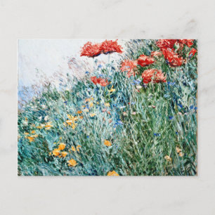 Childe Hassam - Poppies, Appledore Helg Vykort