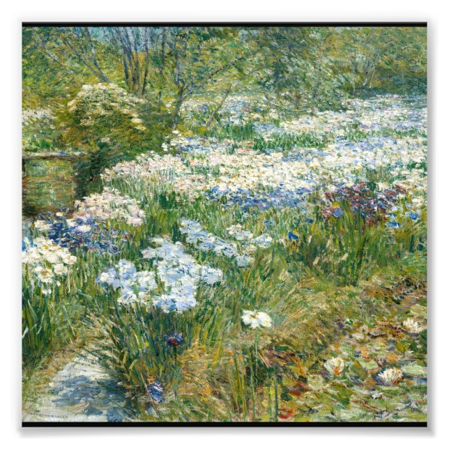 Childe Hassam - Vatten Garden Fototryck (Framsidan)