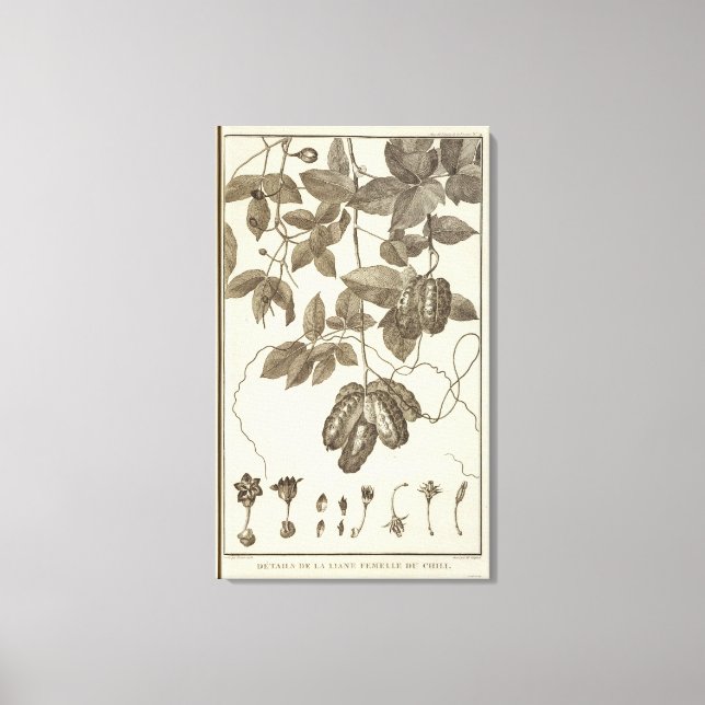 Chile 10 canvastryck (Framsida)