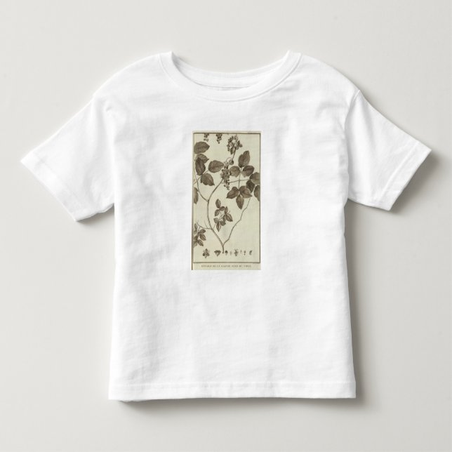 Chile 3 t-shirt (Framsida)