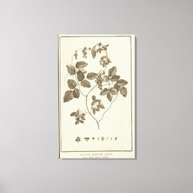 Chile 8 canvastryck (Framsida)