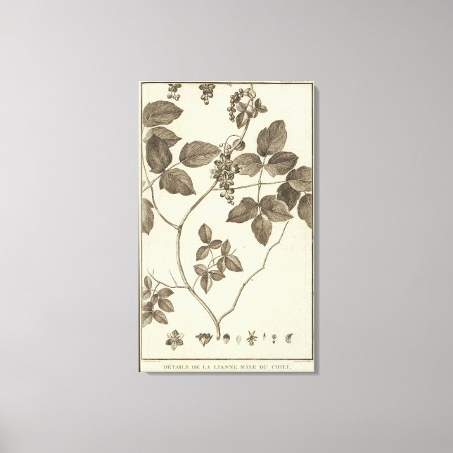 Chile 9 canvastryck (Framsida)