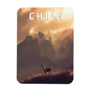 Chile Illustration Resa Konst Vintage Magnet