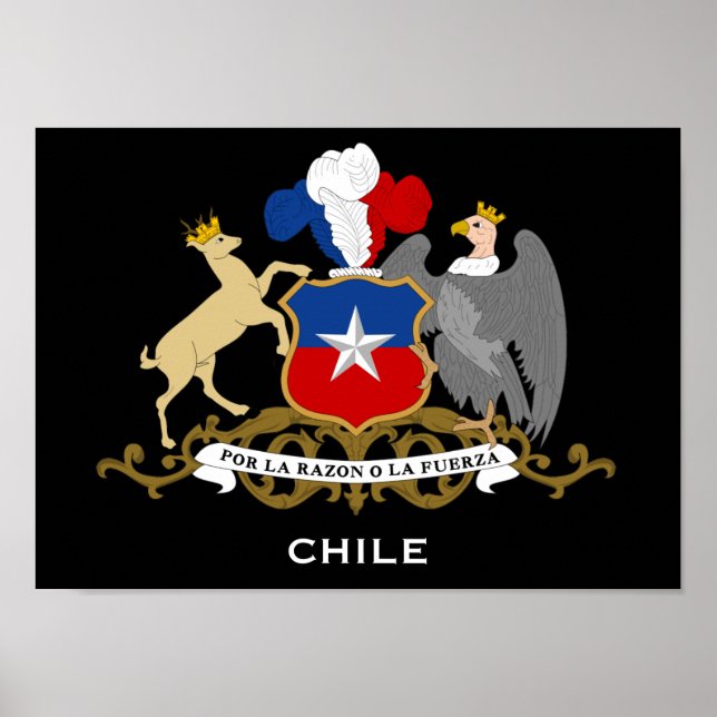 Chile* Jackar Poster Arm (Framsidan)