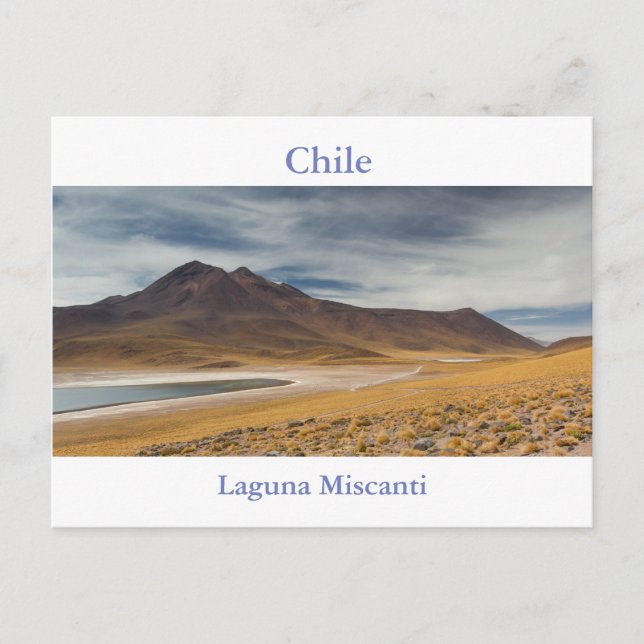 Chile - Laguna Miscanti-vykort med text Vykort (Framsida)
