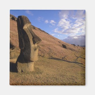 Chile, Påskön. Backe med Moai Magnet