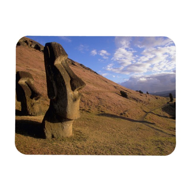 Chile, Påskön. Backe med Moai Magnet (Horisontell)