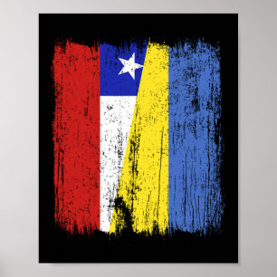 Chile Ukraina Halv Flagga Chilensk Ukrainsk Arv Poster